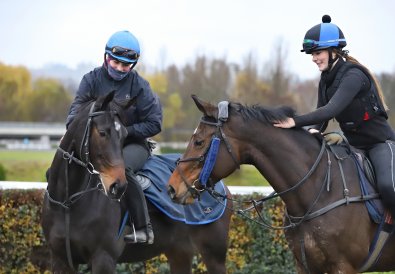 Provoz stáje o jarních prázdninách