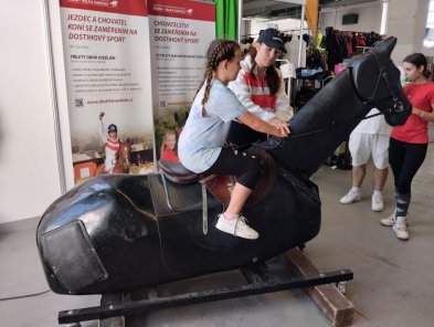 Mezinárodní výstava „Kůň 2025“